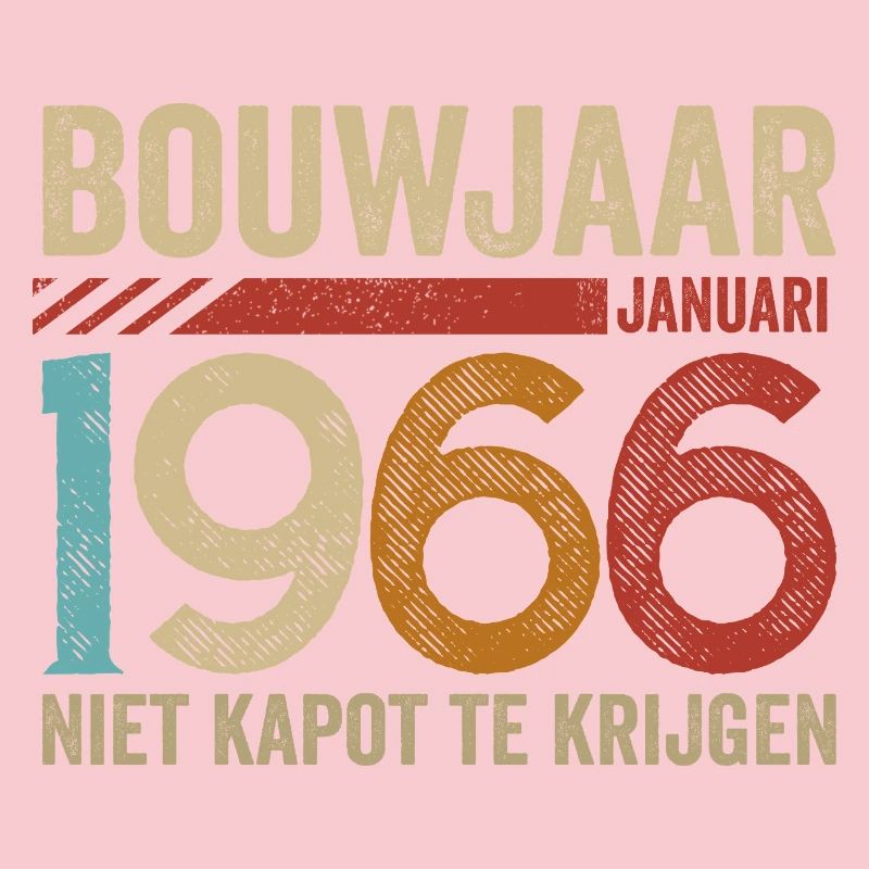 Année de construction : janvier 1966 ne peut être annulée