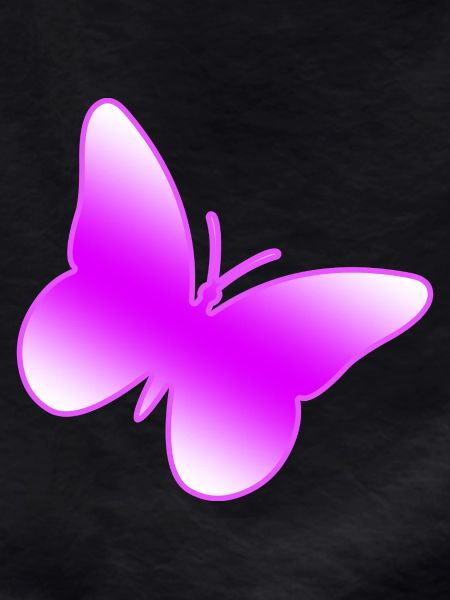 Papillon