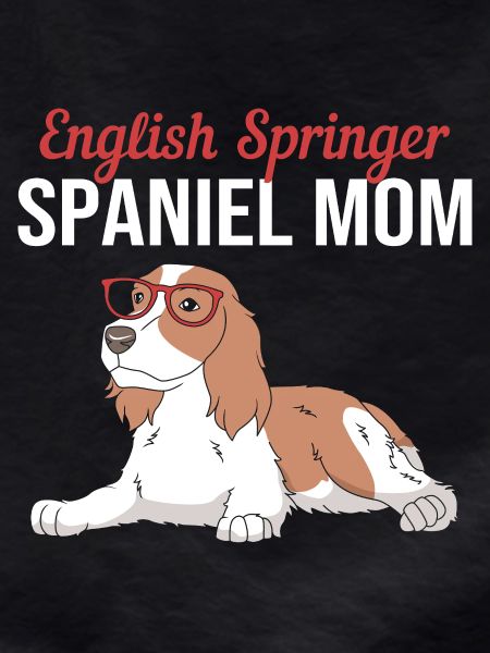 Springer Spaniel Dog