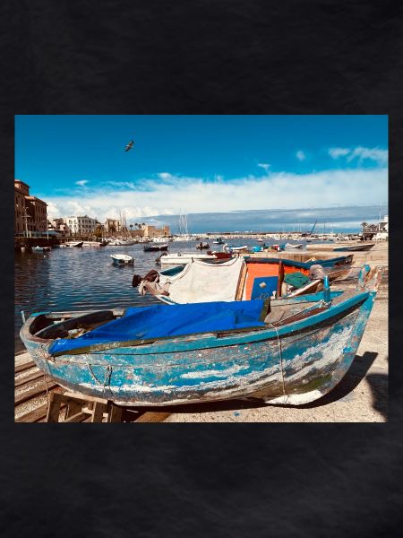 Blaue Boote im Hafen