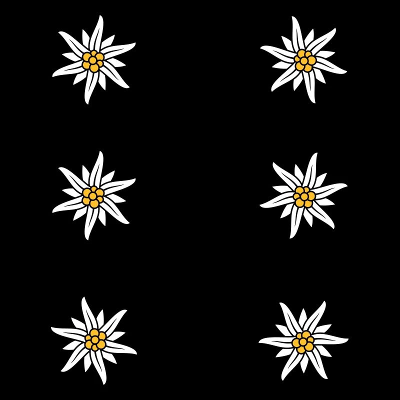 Dirndl apron Edelweiss