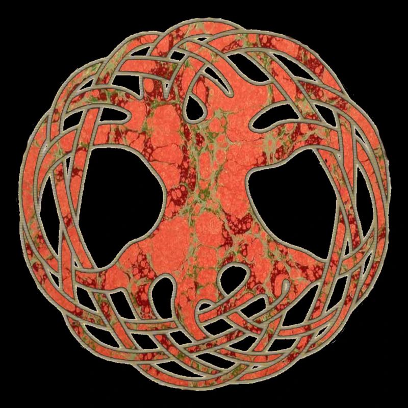 Celtic Arborvitae E 213