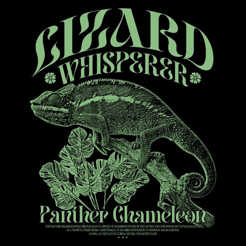 Panther Chameleon Chameleon Lizard Whisperer