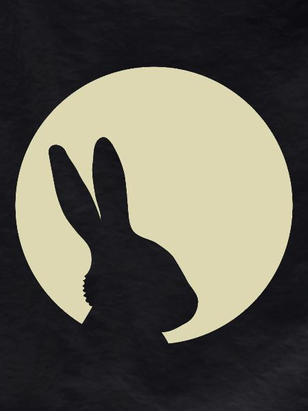 Bunny Moon Rabbit Bunny