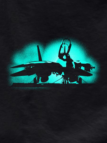 Jet F-14 Tomcat