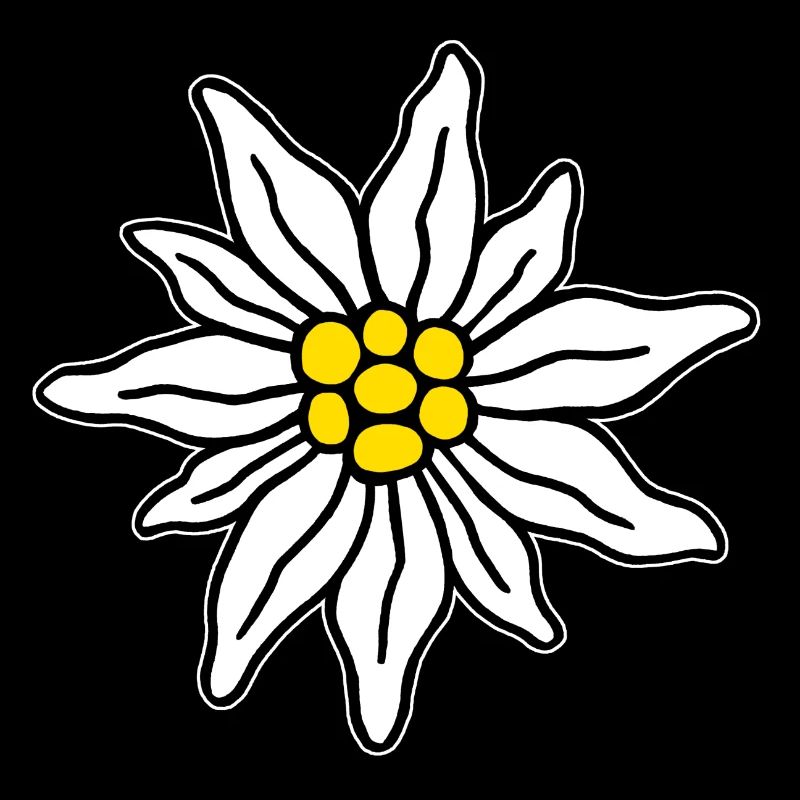 Edelweiss II