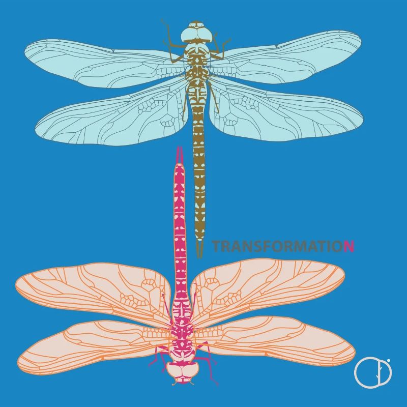 Libellules et transformation par CD