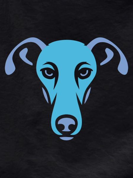 Greyhound, Galgo