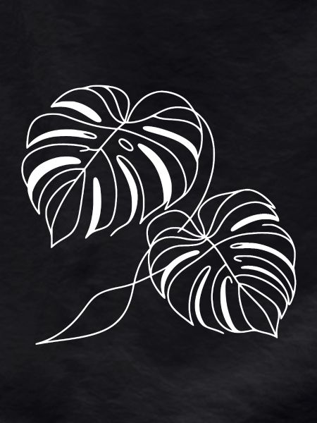 Monstera