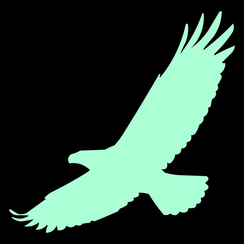 Falcon in flight