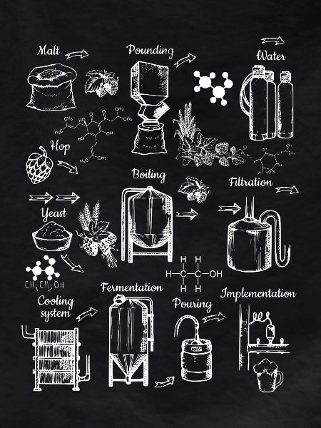 Beer Brewing