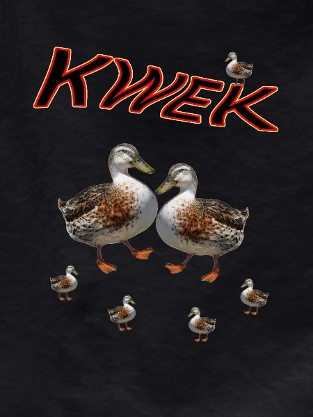 Duck Duck