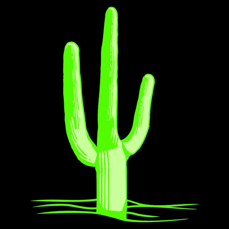 Cactus Spines Desert Cacti Cool Cacti
