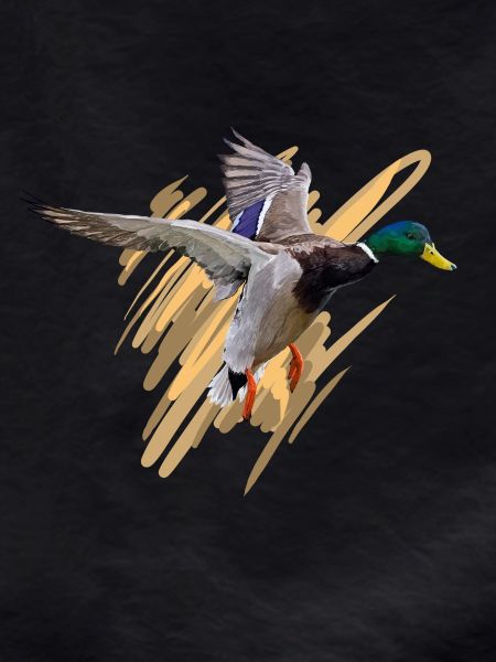Duck
