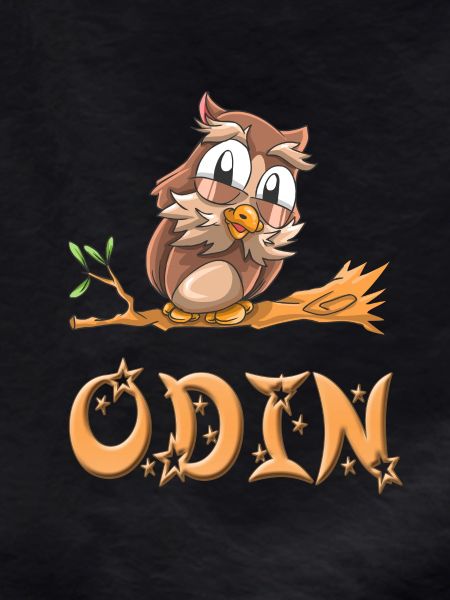 Owl Odin
