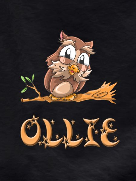 Owl Ollie