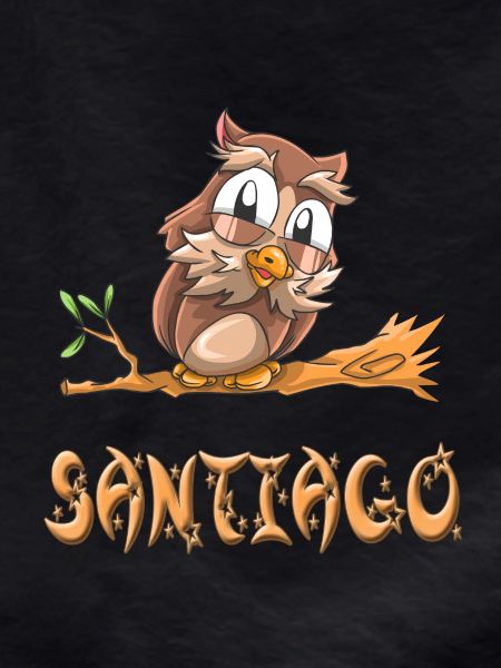 Owl Santiago