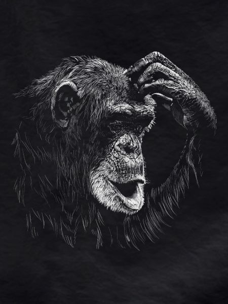 Monkey