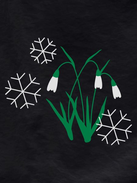 schneegloeckchen blume schnee winter