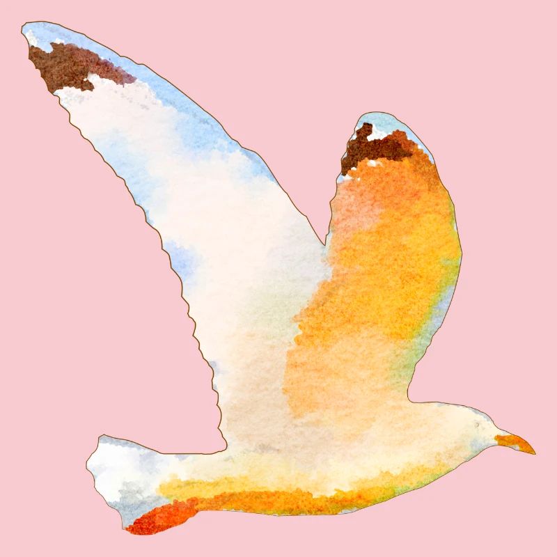 mouette