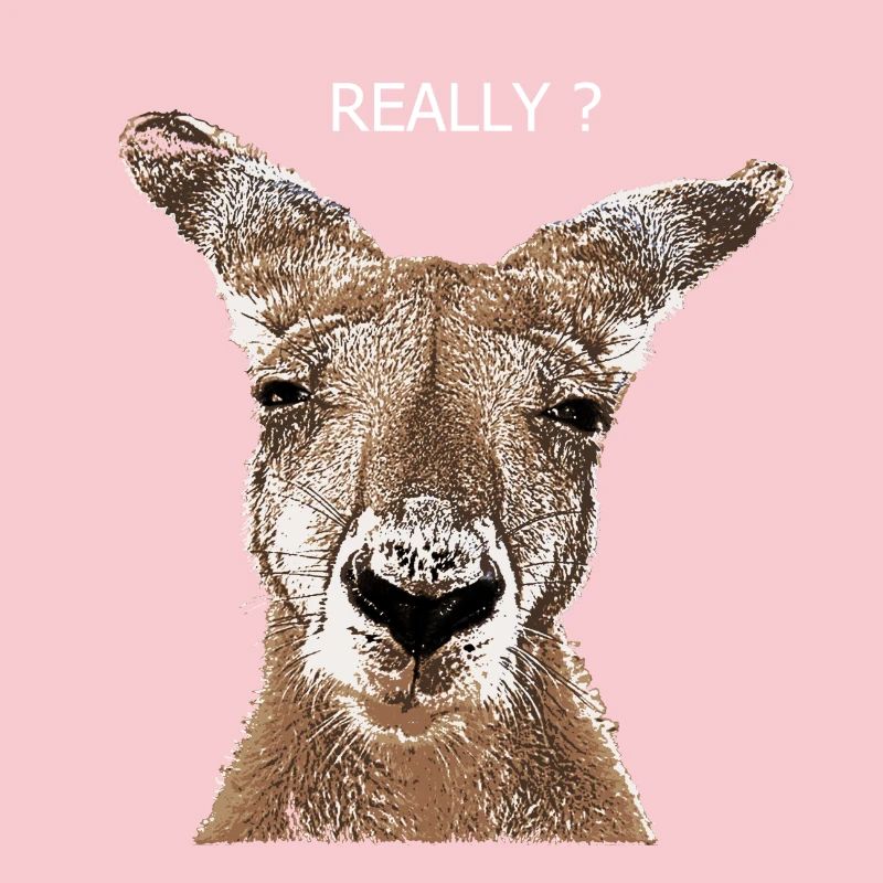 Kangaroo really?