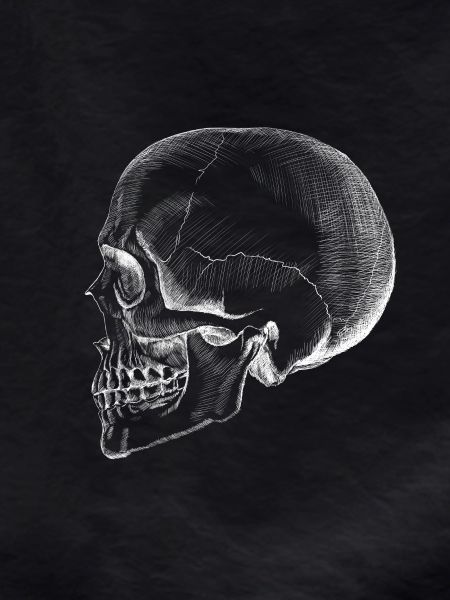 Skull