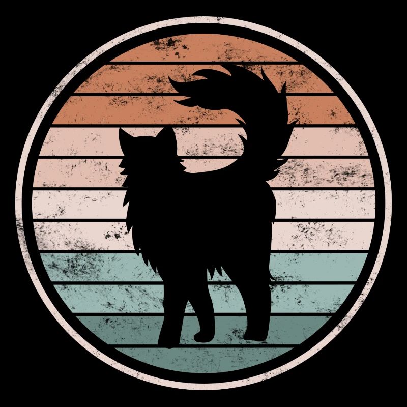Katze Katzen