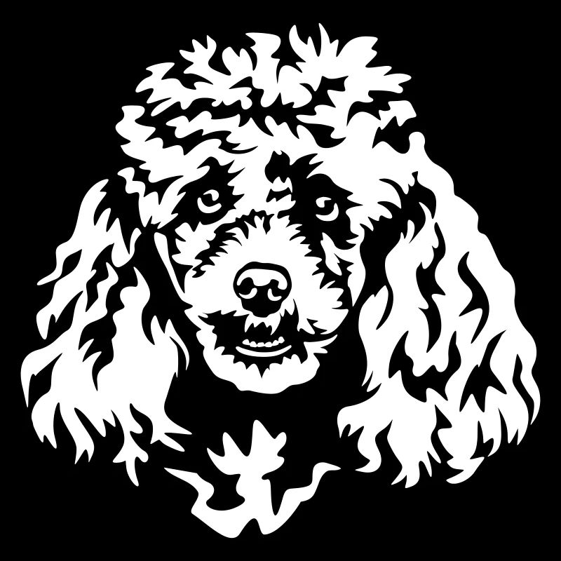 Tête de caniche « Black Edition »