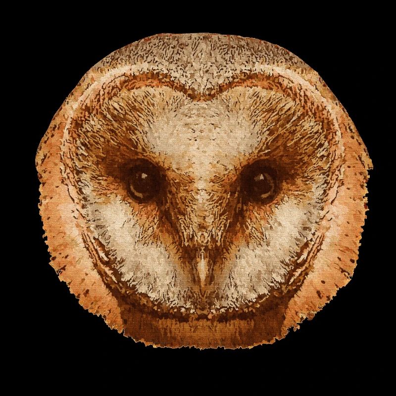 coole tierprints, Schleiereule gesicht