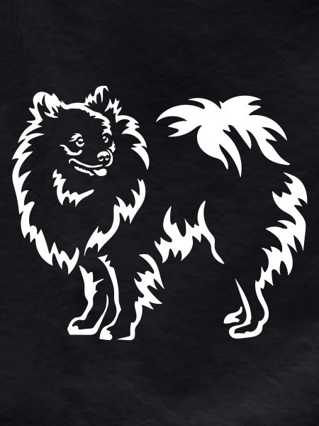 Spitz "Black Edition"