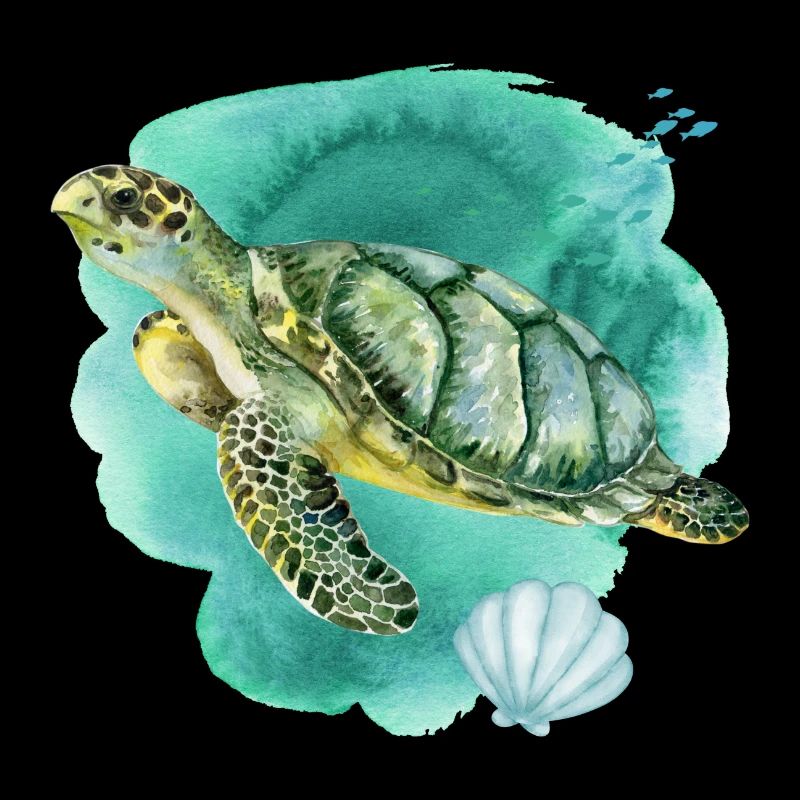 Sea Turtle Ocean Watercolor 