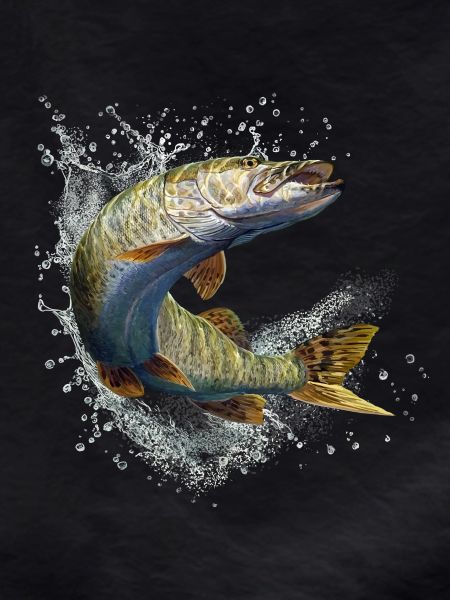 Brochet