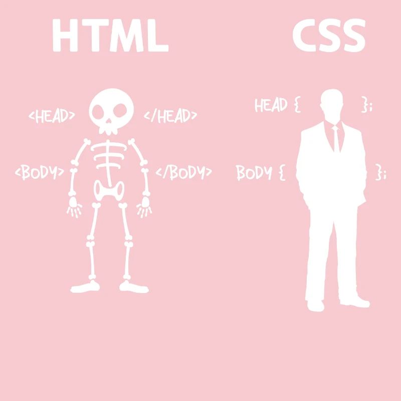 Code Css C++ Php Java Developer Code Skripting