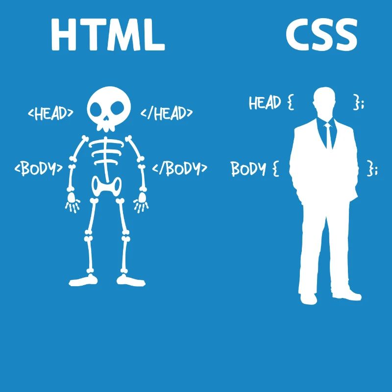 Code Css C++ Php Java Developer Code Skripting
