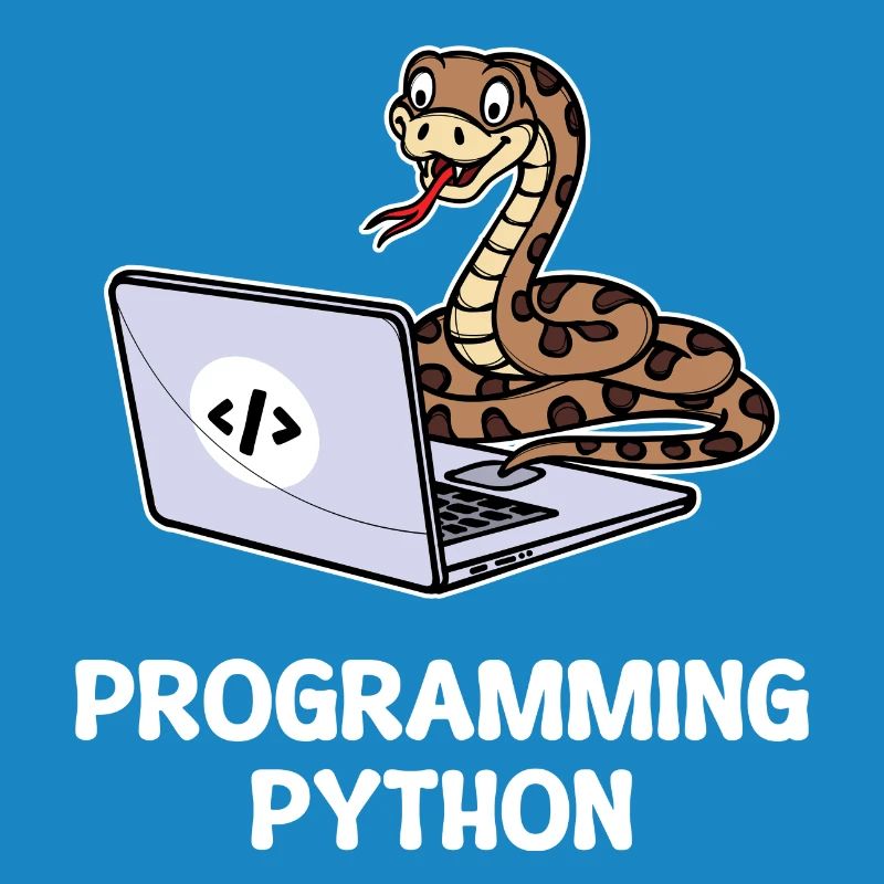 Scripting Programmer Computer Debug Developer