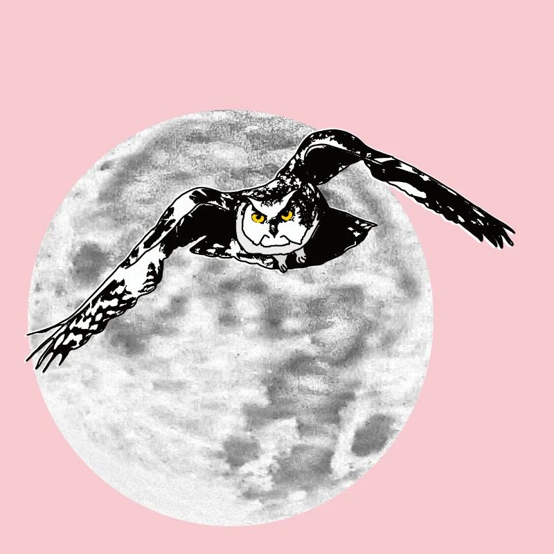 Hibou devant la lune