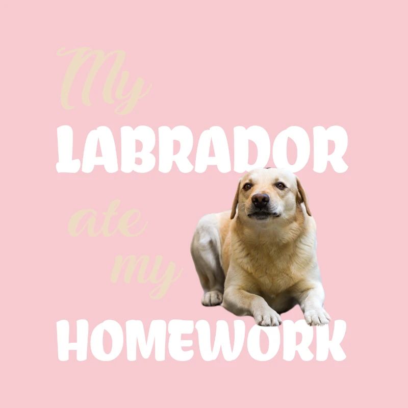 Labrador Homework