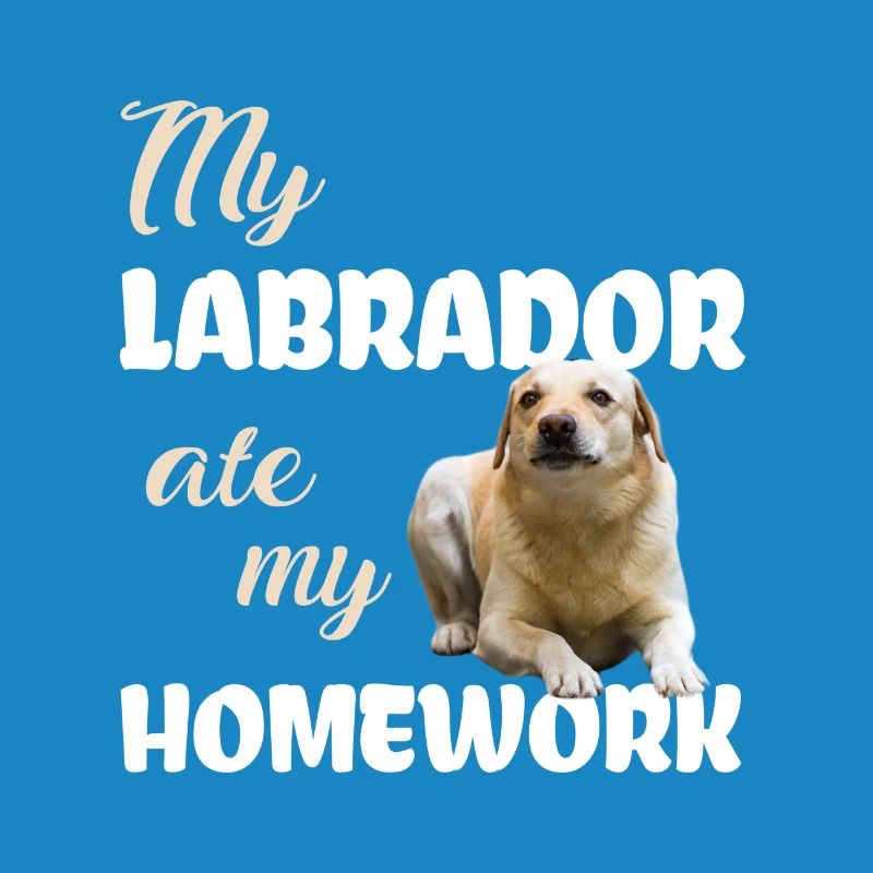 Devoirs du Labrador
