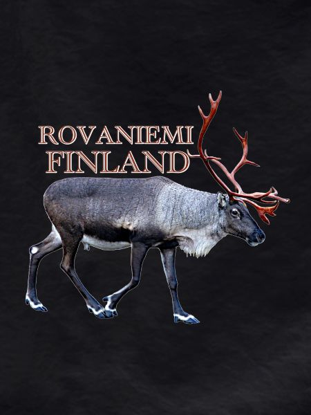 Rovaniemi
