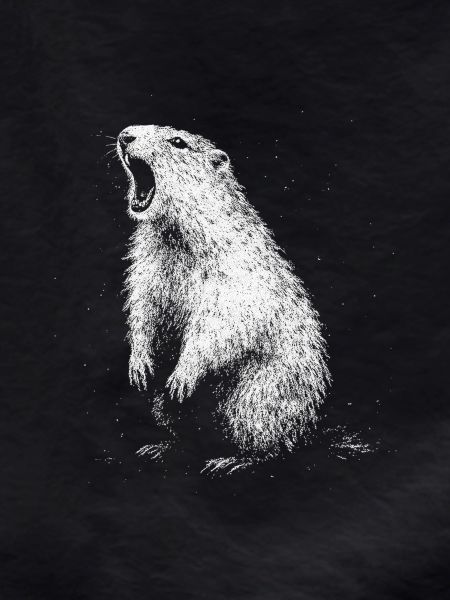 Marmot