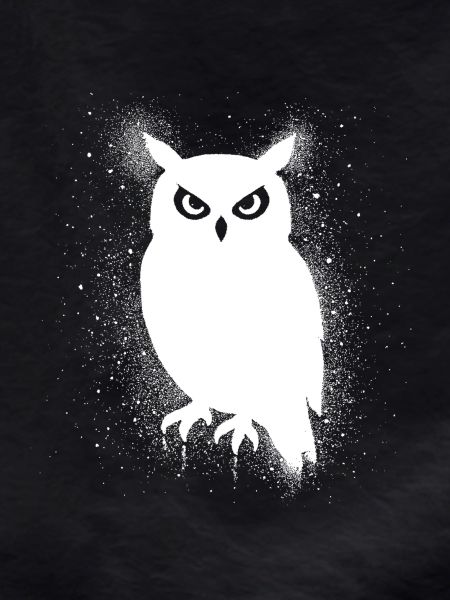 Funny Owl