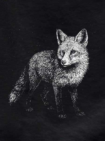 Ein Fuchs