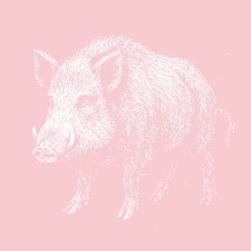 Wild boar