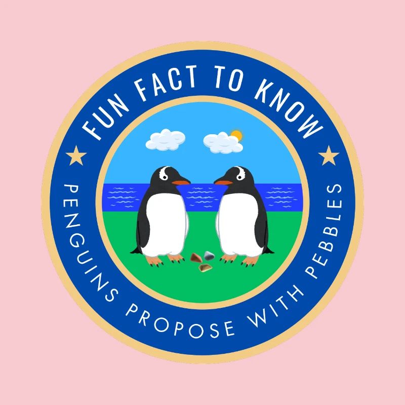 Penguins propose with pebbles