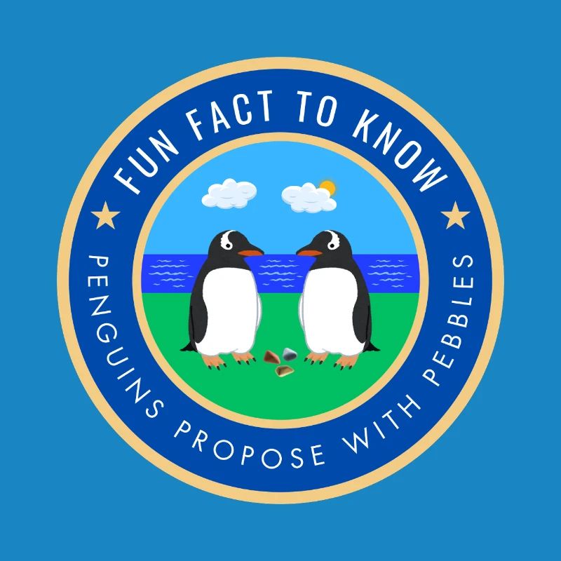 Penguins propose with pebbles