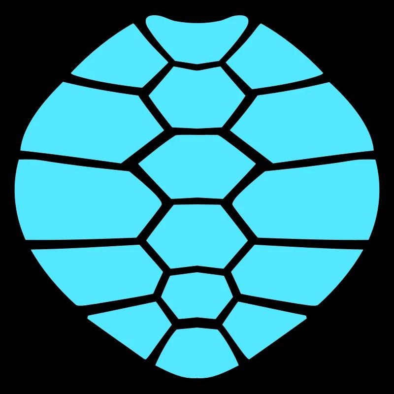 Turtle shell pattern turtle icon cool
