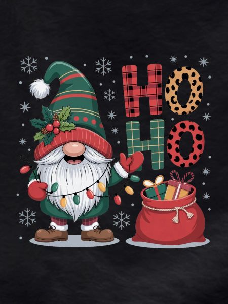 Santa Claus Gnome