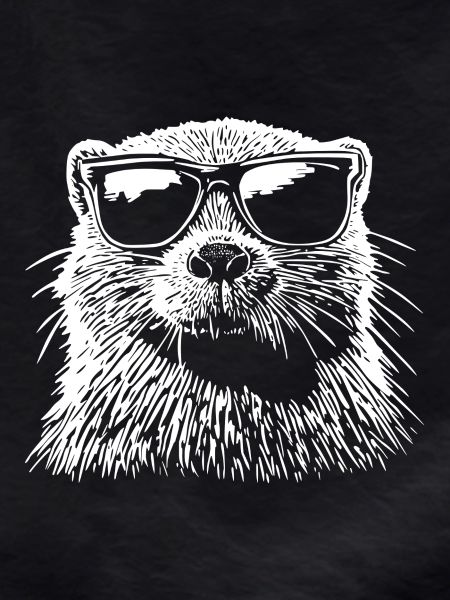 Cool Beaver Sunglasses