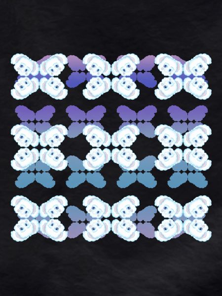 Koala des neiges