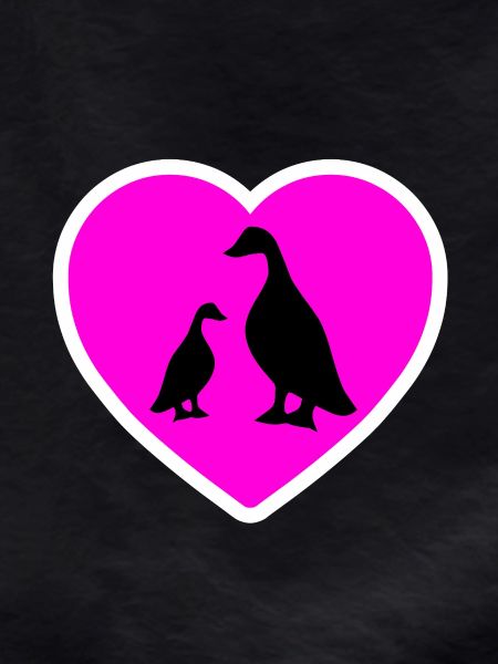 Canards